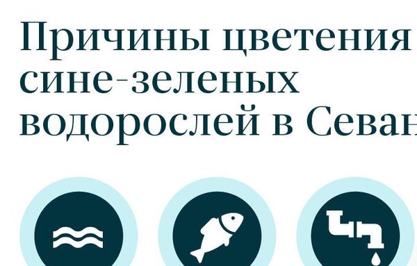 Угроза превращения в болото, или Как не допустить уничтожения Севана Угроза превращения в болото, или Как не допустить уничтожения Севана - Sputnik Армения