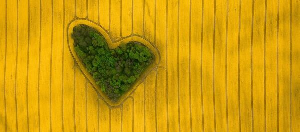 Остров любви — так называется работа Жеремиаза Жадека. Фото признано лучшим в категории Природа - Sputnik Արմենիա