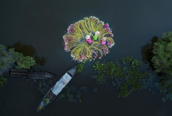«Ծաղիկ ջրի վրա» լուսանկարը հաղթել է «Մարդիկ» անվանակարգում - Sputnik Արմենիա