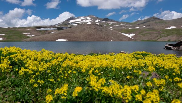 Озеро Кари на горе Арагац - Sputnik Армения