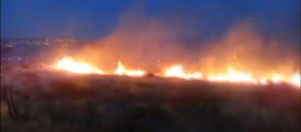 Հրդեհ Ծիծեռնակաբերդի հուշահամալիրի մոտակայքում - Sputnik Армения