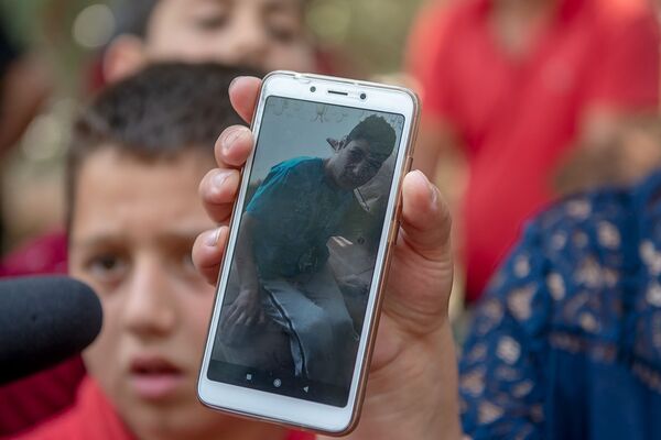 Не наломать бы дров: стороны лесного конфликта в Иджеване рассказали каждый о своем - Sputnik Армения