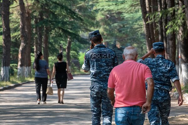 Не наломать бы дров: стороны лесного конфликта в Иджеване рассказали каждый о своем - Sputnik Армения