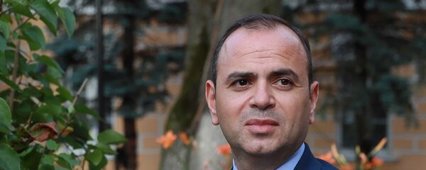 Главный комиссар по делам диаспоры Заре Синанян во время интервью агентству Sputnik - Sputnik Արմենիա