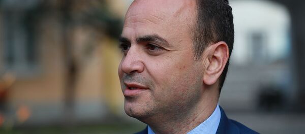 Главный комиссар по делам диаспоры Заре Синанян во время интервью агентству Sputnik - Sputnik Армения