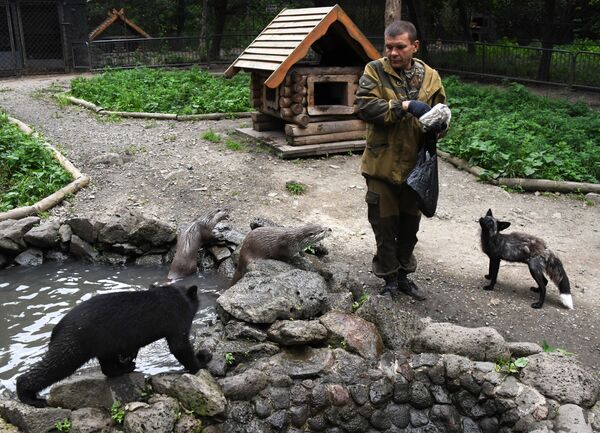 Парк мелких хищных зверей в Приморском сафари-парке - Sputnik Армения