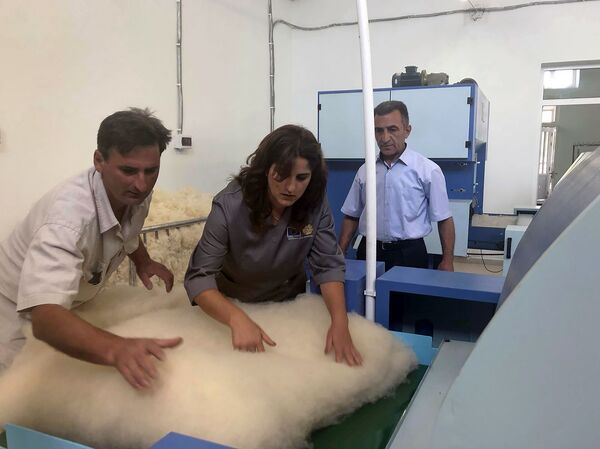 Թակի և սանդերքի փոխարեն` բրդի ավտոմատացված վերամշակում. Ամասիայում բացվել է բրդի գործարան Թակի և սանդերքի փոխարեն` բրդի ավտոմատացված վերամշակում. Ամասիայում բացվել է բրդի գործարան - Sputnik Արմենիա