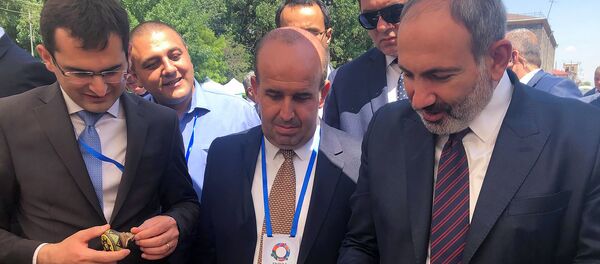 Члены правительства во главе с премьер-министром Николом Пашиняном на бизнес-форуме Мой шаг во имя Ширака (20 июля 2019). Гюмри - Sputnik Армения