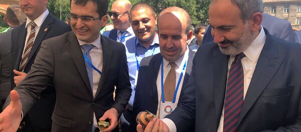 Члены правительства во главе с премьер-министром Николом Пашиняном на бизнес-форуме Мой шаг во имя Ширака (20 июля 2019). Гюмри - Sputnik Армения