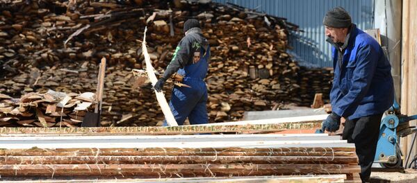 Цех первичной обработки древесины. Архивнов фото - Sputnik Армения