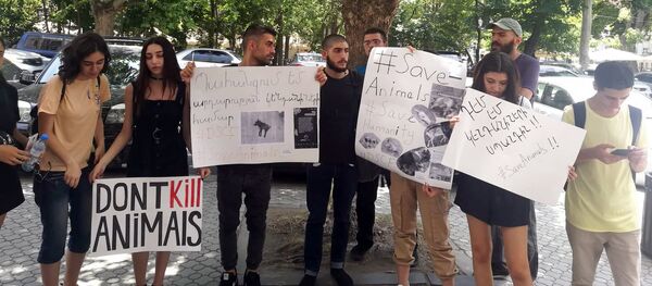 Акция протеста перед зданием парламента (23 июля 2019). Еревaн - Sputnik Армения