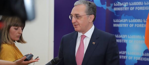 Министр иностранных дел Армении Зограб Мнацаканян на совместном брифинге с главой МИД Грузии Давидом Залкалиани (24 июля 2019). Тбилиси - Sputnik Армения
