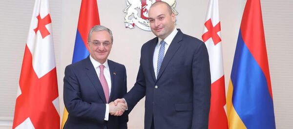 Встреча министра иностранных дел Армении Зограба Мнацаканяна с премьер-министром Грузии Мамукой Бахтадзе (24 июля 2019). Тбилиси - Sputnik Армения