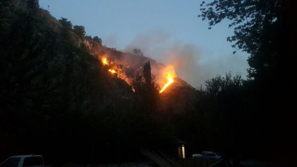 Խոշոր հրդեհ Արզնու ձորում. տեսանյութ, լուսանկարներ - Sputnik Արմենիա