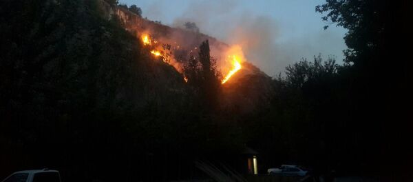 Пожар в Арзни - Sputnik Армения
