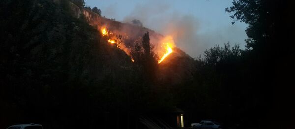 Пожар в лесу Пожар в лесу - Sputnik Армения