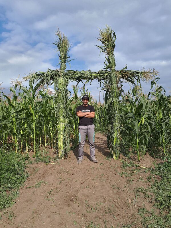 Եգիպտացորենի դաշտը լաբիրինթոս է դառնում. Տավուշի զբոսաշրջային ստարտափը Եգիպտացորենի դաշտը լաբիրինթոս է դառնում. Տավուշի զբոսաշրջային ստարտափը - Sputnik Արմենիա