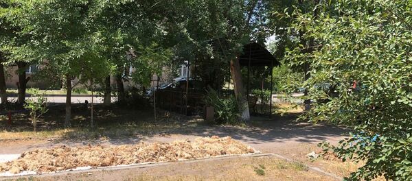 Беседка, Гюмри - Sputnik Армения