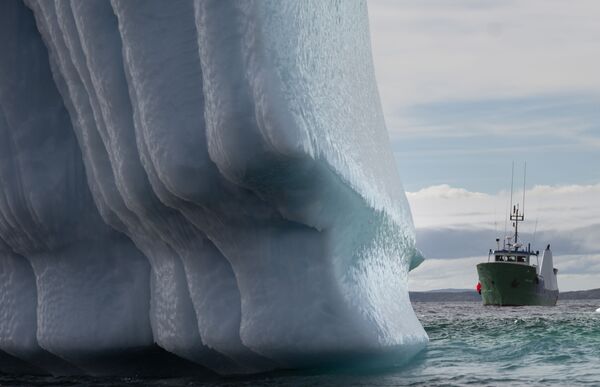 Судно рядом с айсбергом в заливе Бонависта в Ньюфаундленде, Канада - Sputnik Армения