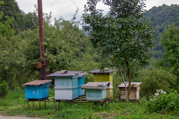 Հրանտ Մաթևոսյանի ազատության ու սիրո ճանապարհը. ի՞նչ վիճակում է գրողի հայրական տունը - Sputnik Արմենիա