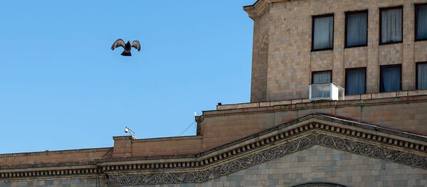 Голубь - Sputnik Армения