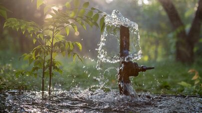 Оросительная система в городском парке