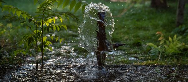 Оросительная система в городском парке - Sputnik Армения