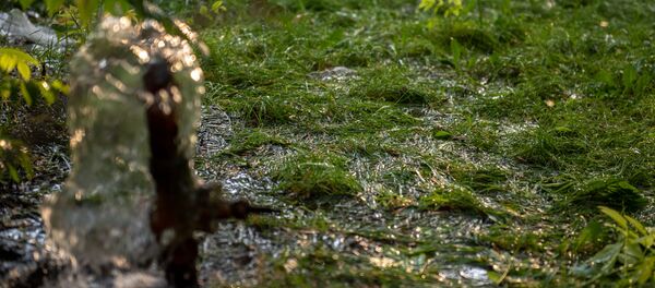 Оросительная система в городском парке - Sputnik Армения