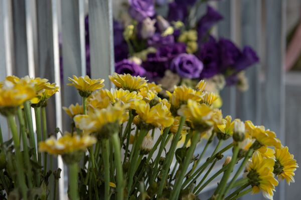 Երազանքից` իրական բիզնես. ինչպես ընդամենը 12 օրում Մարիամը հաջողակ գործարար դարձավ - Sputnik Արմենիա