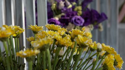 Цветы в цветочном магазине Мариам Мартиросян