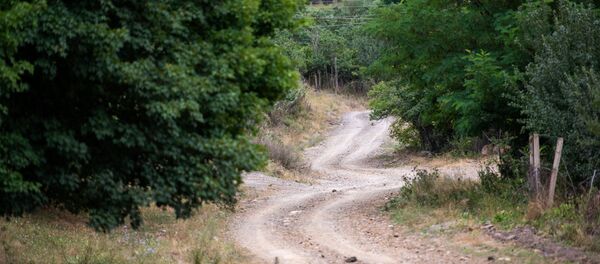 Дорога к азербайджанскому кладбищу в Гегаркунике - Sputnik Արմենիա