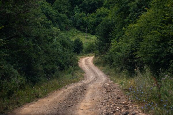 Կալավանի ադրբեջանական գերեզմանատունը. ում շիրիմին էր այցելել առեղծվածային կինը Կալավանի ադրբեջանական գերեզմանատունը. ում շիրիմին էր այցելել առեղծվածային կինը - Sputnik Արմենիա