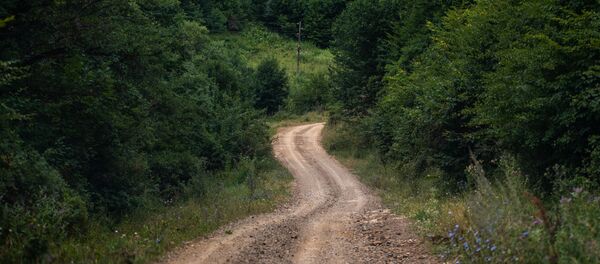 Дорога к азербайджанскому кладбищу в Гегаркунике Дорога к азербайджанскому кладбищу в Гегаркунике - Sputnik Արմենիա