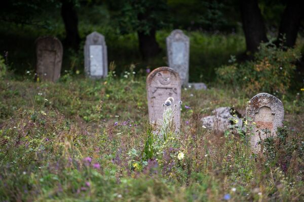 Азербайджанское кладбище в Калаване: на чью могилу пришла загадочная женщина Азербайджанское кладбище в Калаване: на чью могилу пришла загадочная женщина - Sputnik Армения
