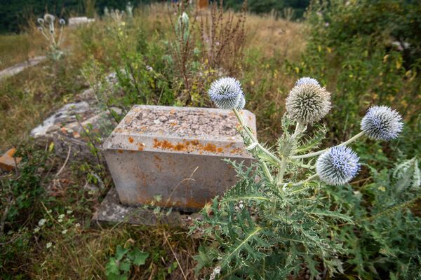 Азербайджанское кладбище в Калаване: на чью могилу пришла загадочная женщина Азербайджанское кладбище в Калаване: на чью могилу пришла загадочная женщина - Sputnik Армения
