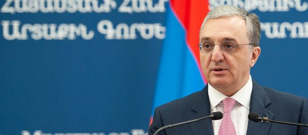 Министр иностранных дел Армении Зограб Мнацаканян во время пресс-конференции с главой МИД Уругвая (14 августа 2019). Еревaн - Sputnik Արմենիա