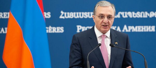 Министр иностранных дел Армении Зограб Мнацаканян во время пресс-конференции с главой МИД Уругвая (14 августа 2019). Еревaн - Sputnik Армения