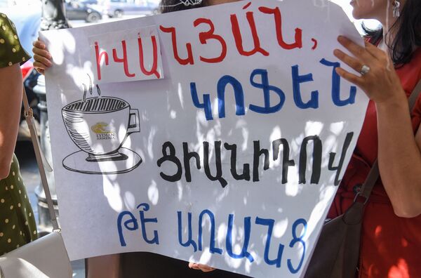 Митинг у правительства Армении: экологи требуют встречи с властями по вопросу Амулсара - Sputnik Армения