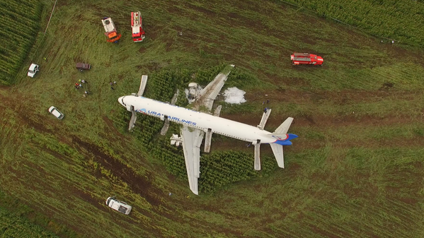 Последствия вынужденной посадки в Подмосковье лайнера Airbus А-321 авиакомпании Уральские авиалинии в результате попадания птиц в двигатели самолета  - Sputnik Армения
