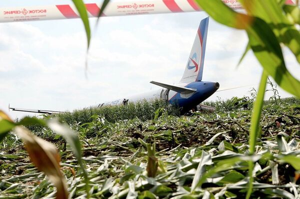 Последствия вынужденной посадки в Подмосковье лайнера Airbus А-321 авиакомпании Уральские авиалинии в результате попадания птиц в двигатели самолета - Sputnik Армения
