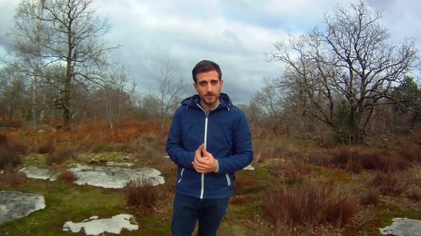 Себе ничего не оставит: зачем француз Тео едет в Армению на велосипеде - Sputnik Армения