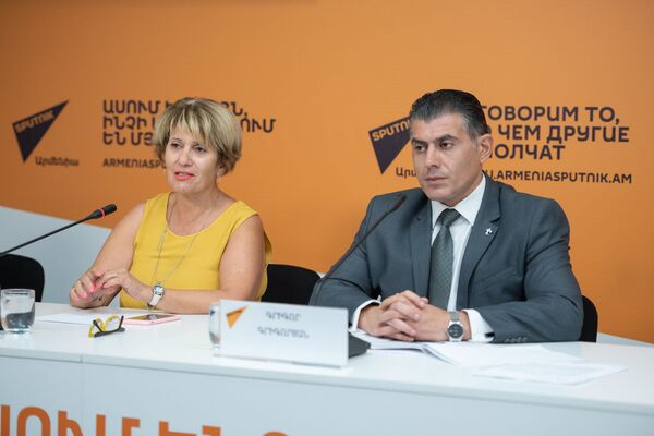 Оценку Амулсарского рудника провела непрофессиональная компания – представитель НПО - Sputnik Армения