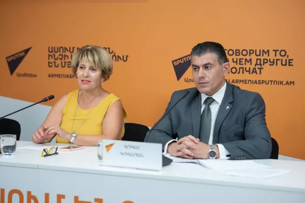 Оценку Амулсарского рудника провела непрофессиональная компания – представитель НПО Оценку Амулсарского рудника провела непрофессиональная компания – представитель НПО - Sputnik Армения