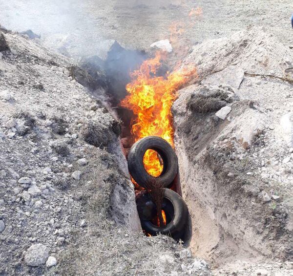 В армянском селе зафиксированы новые случаи заражения сибирской язвой - Sputnik Армения