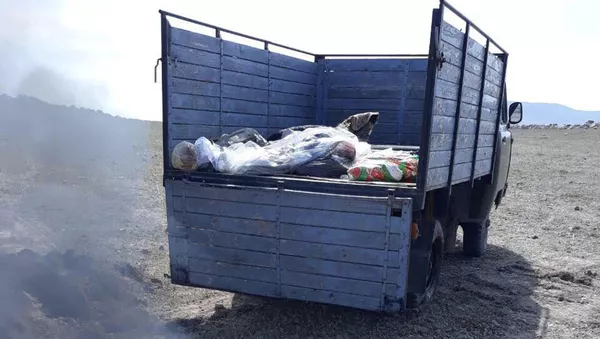 Говядина, зараженная сибирской язвой