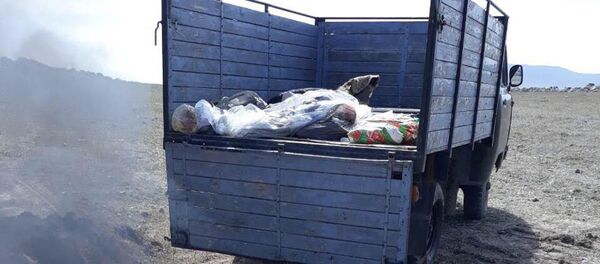 Говядина, зараженная сибирской язвой - Sputnik Армения