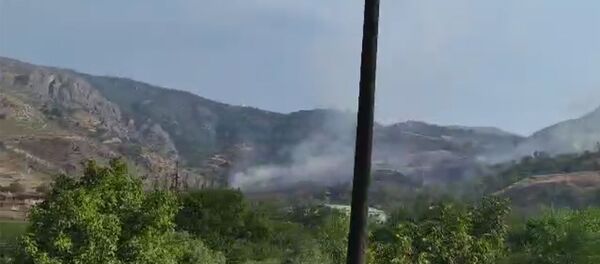 Пожар близ Воротанской ГЭС Пожар близ Воротанской ГЭС - Sputnik Արմենիա