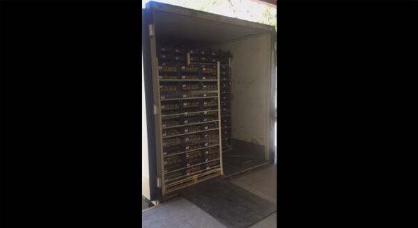 Тернистый путь армянских персиков: Спайка вступила в конфликт с российской таможней Тернистый путь армянских персиков: Спайка вступила в конфликт с российской таможней - Sputnik Армения