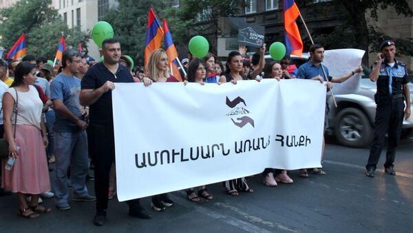 Акция против эксплуатации Амулсарского месторождения (24.08.2019) Еревaн - Sputnik Армения