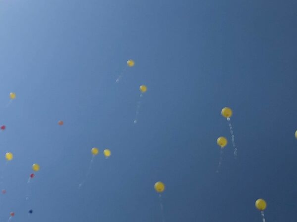 Пашинян приехал отмечать День города — в Гюмри открылась улица Шираза - Sputnik Армения